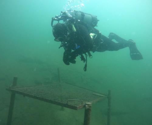 DCIM100GOPROGOPR0481.JPG