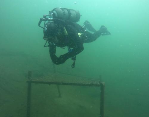 DCIM100GOPROGOPR0482.JPG