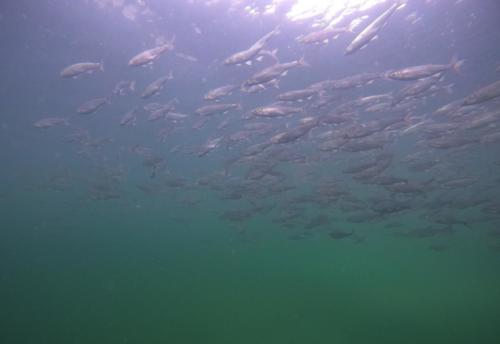 DCIM100GOPROGOPR0328.JPG