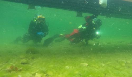 DCIM100GOPROGOPR0392.JPG