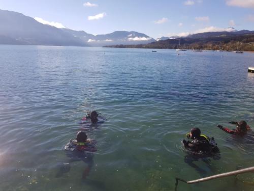 IMG-20221106-WA0003